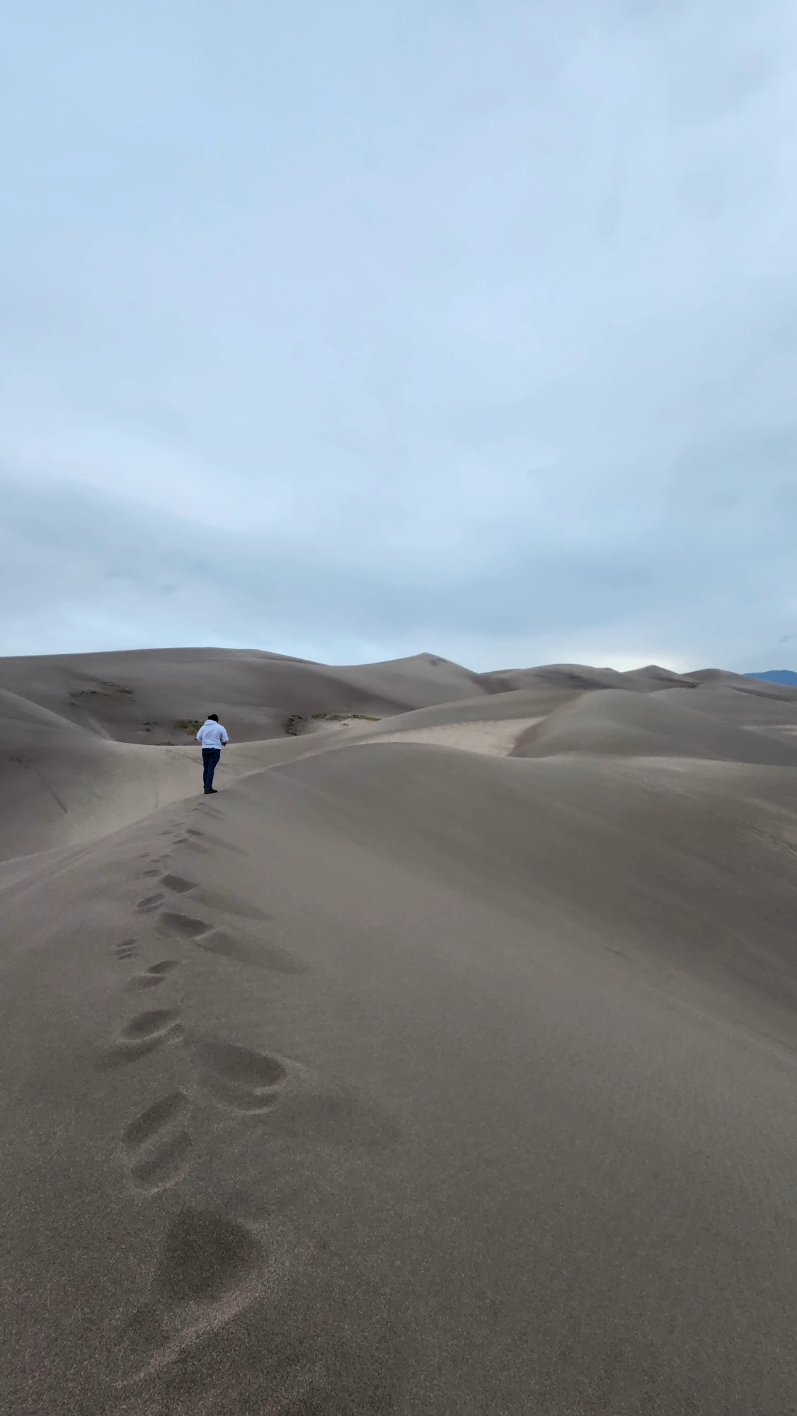 A person walking into a field of tall sand dunes beneath a pale overcast sky.